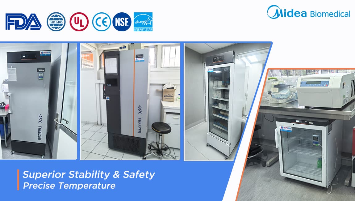 Assurer l'avenir de l'aquaculture : Questions-réponses avec un laboratoire chilien de premier plan en matière de pêche