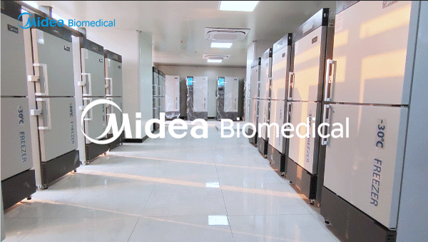 Midea Biomedical livre des unités de stockage frigorifique essentielles à un hôpital pour la construction d'une biobanque.